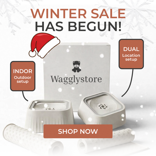 WagglyStore™ Anti-Spill Bowl